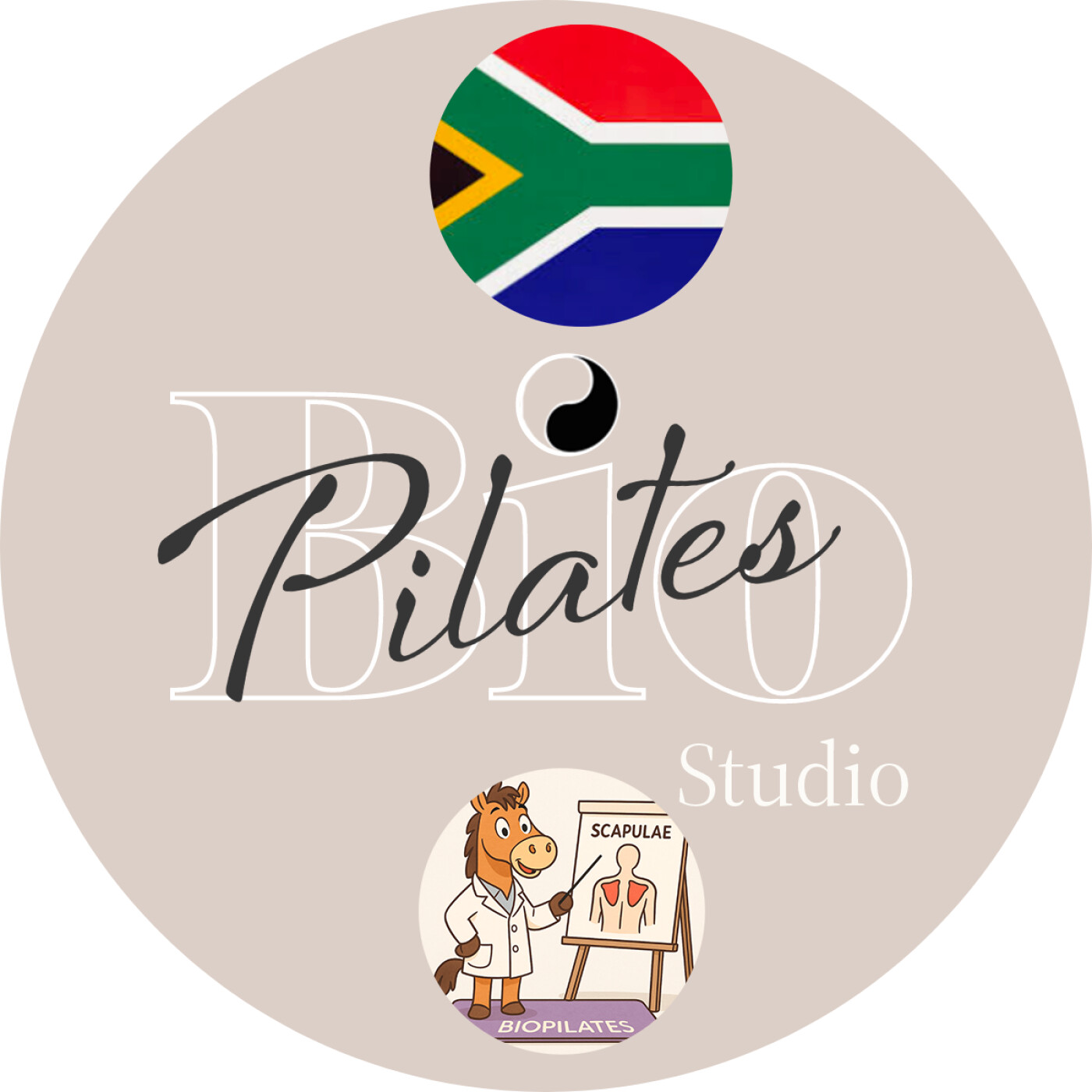 🇿🇦 Die Omoplate: Beweging en Stabiliteit by Mens en Perd - Stott Pilates Scapula Stabilization episode artwork