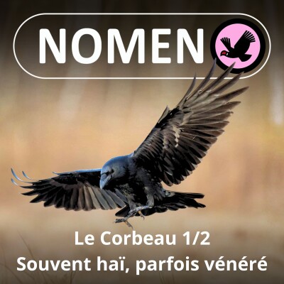 S01E55 Le Corbeau 1/2 : Un surdoué vénéré chez les Vikings, détesté chez les Chrétiens... cover