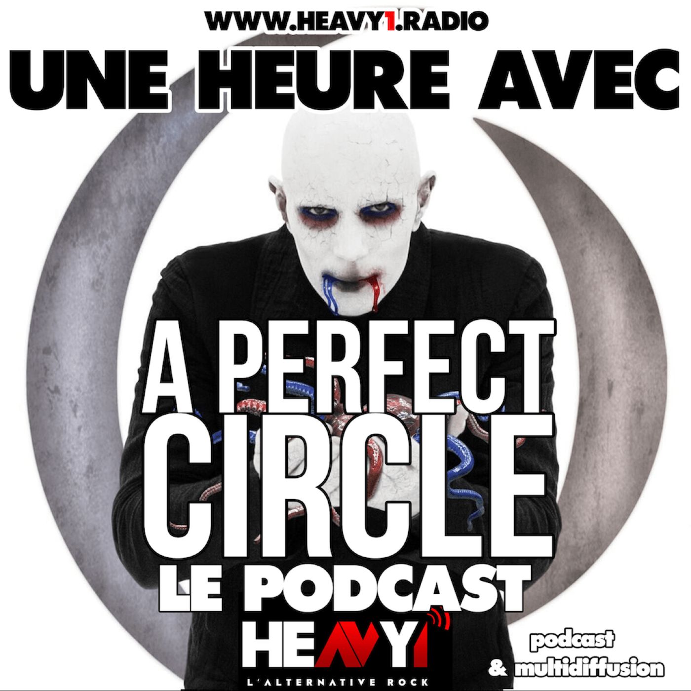 Une heure avec... A Perfect Circle