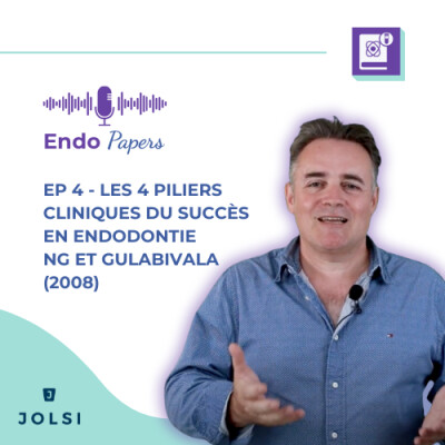 Endo papers #4 : Les 4 piliers cliniques du succès en endodontie - NG et Gulabivala (2008) cover