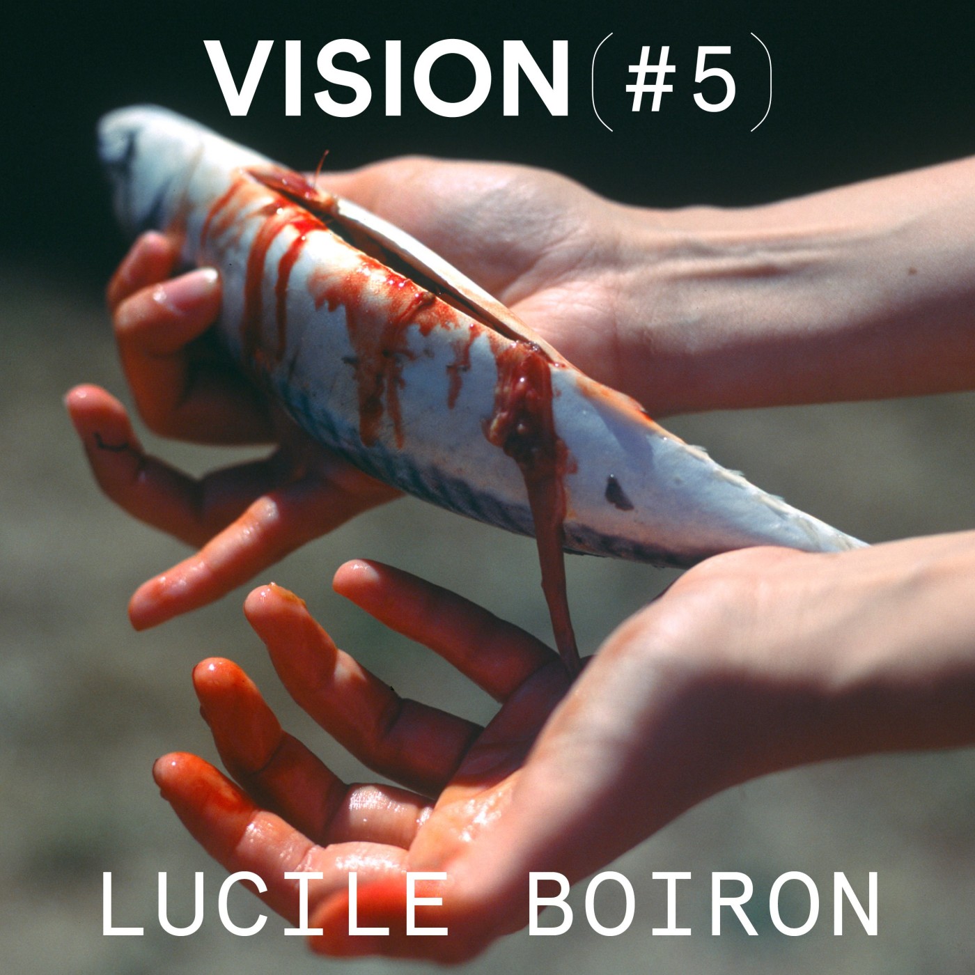 VISION #5 â LUCILE BOIRON