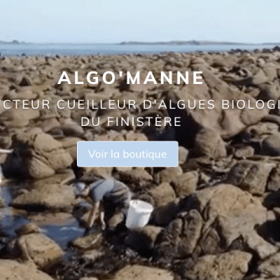 Les vertus des algues en Bretagne Enchanteresse E3, invité : Julien Racault cover