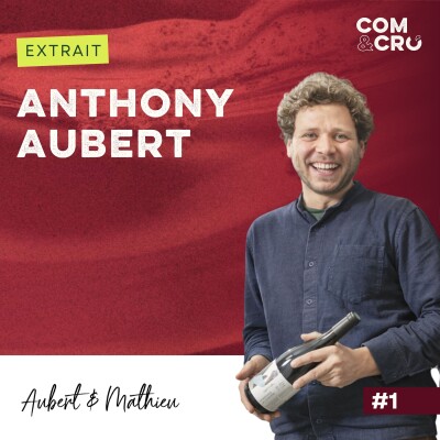 [Extrait] Faire de la Napa dans le Languedoc : comment trouver son positionnement marketing avec Anthony Aubert cover