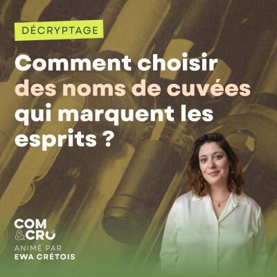 Comment choisir des noms de cuvées qui marquent les esprits ? [Décryptage n°5] cover