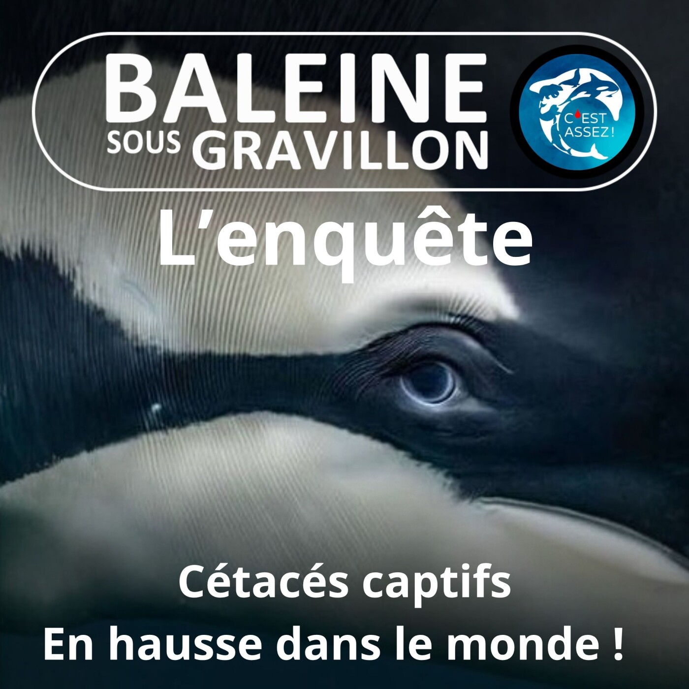 HORS-SÉRIE Enquête sur les 3600 cétacés captifs dans le monde episode artwork