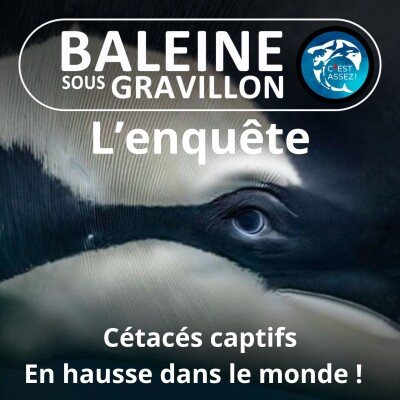 HORS-SÉRIE Enquête sur les 3600 cétacés captifs dans le monde cover