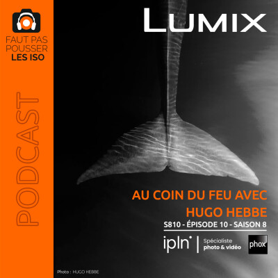 S810 - AU COIN DU FEU : CONVERSATIONS AVEC HUGO HEBBE cover