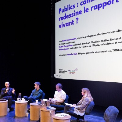 Pratiques des publics : comment les environnements numériques redessinent le rapport au spectacle vivant ? cover