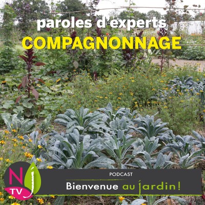PAROLE D'EXPERTCOMPAGNONNAGE AU POTAGER cover