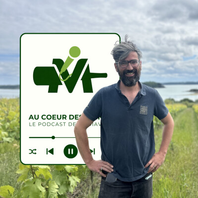 Bretagne I Edouard Cazals I Les longues vignes (extrait) cover