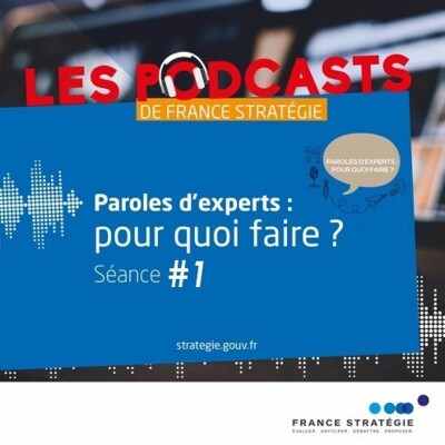 Comment l’action publique mobilise-t-elle l’expertise ? cover