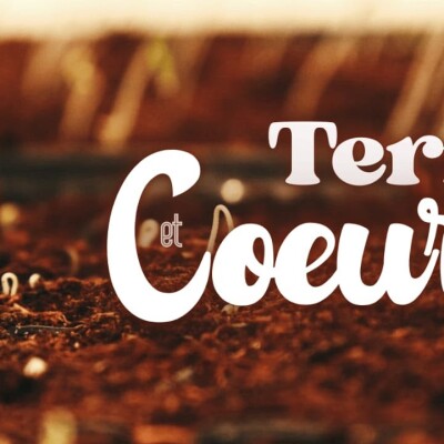 Parole et Évangile du jour | Mercredi 28 janvier • Qui garde sa Parole en son coeur ? cover