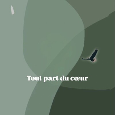 Tout part du cœur cover