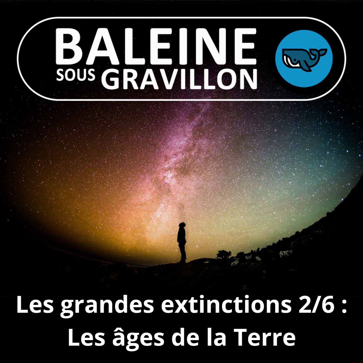 S03E15 Grandes extinctions de masse 2/6 : Les différents âges de la Terre (Sylvie Crasquin, paléontologue)