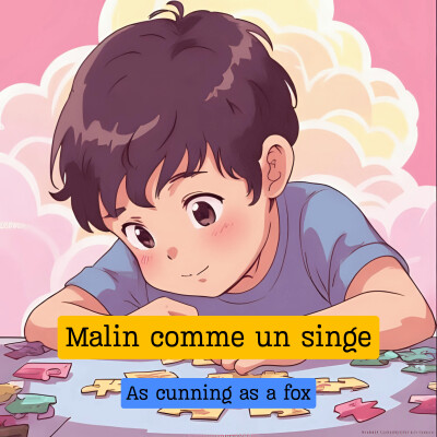 Malin comme un singe cover