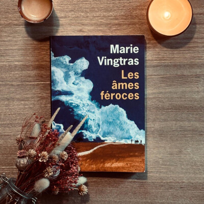 Les âmes féroces de Marie Vingtras cover