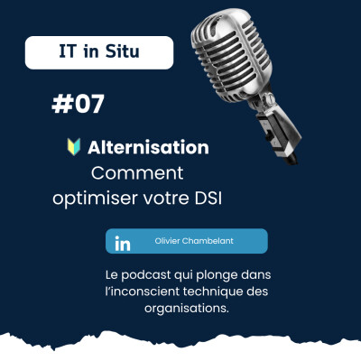 L'aternisation cover