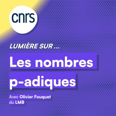 Lumière sur... Les nombres p-adiques cover