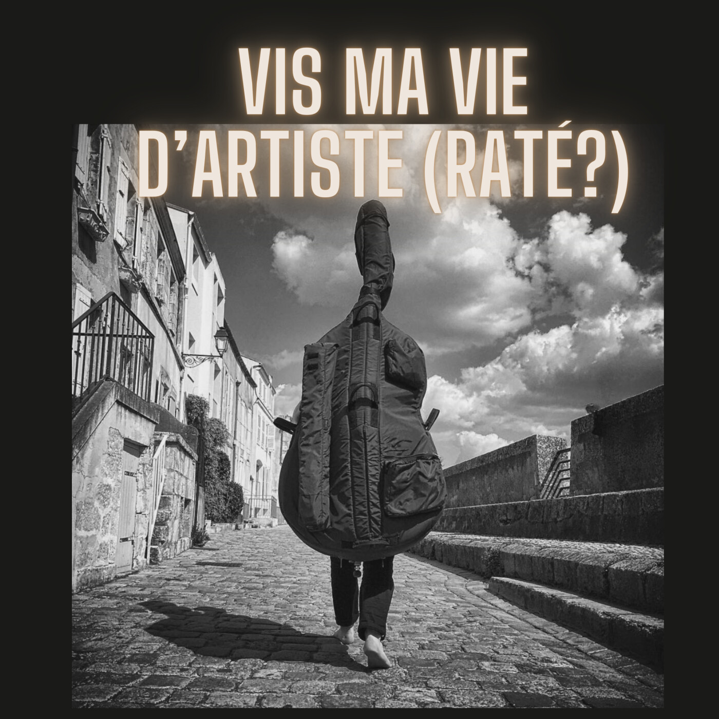 Vis ma vie d\'artiste (raté?)