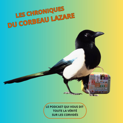 la pie...voleuse ? Vraiment ? cover