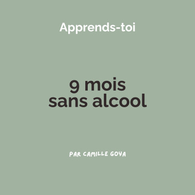 9 mois sans alcool cover