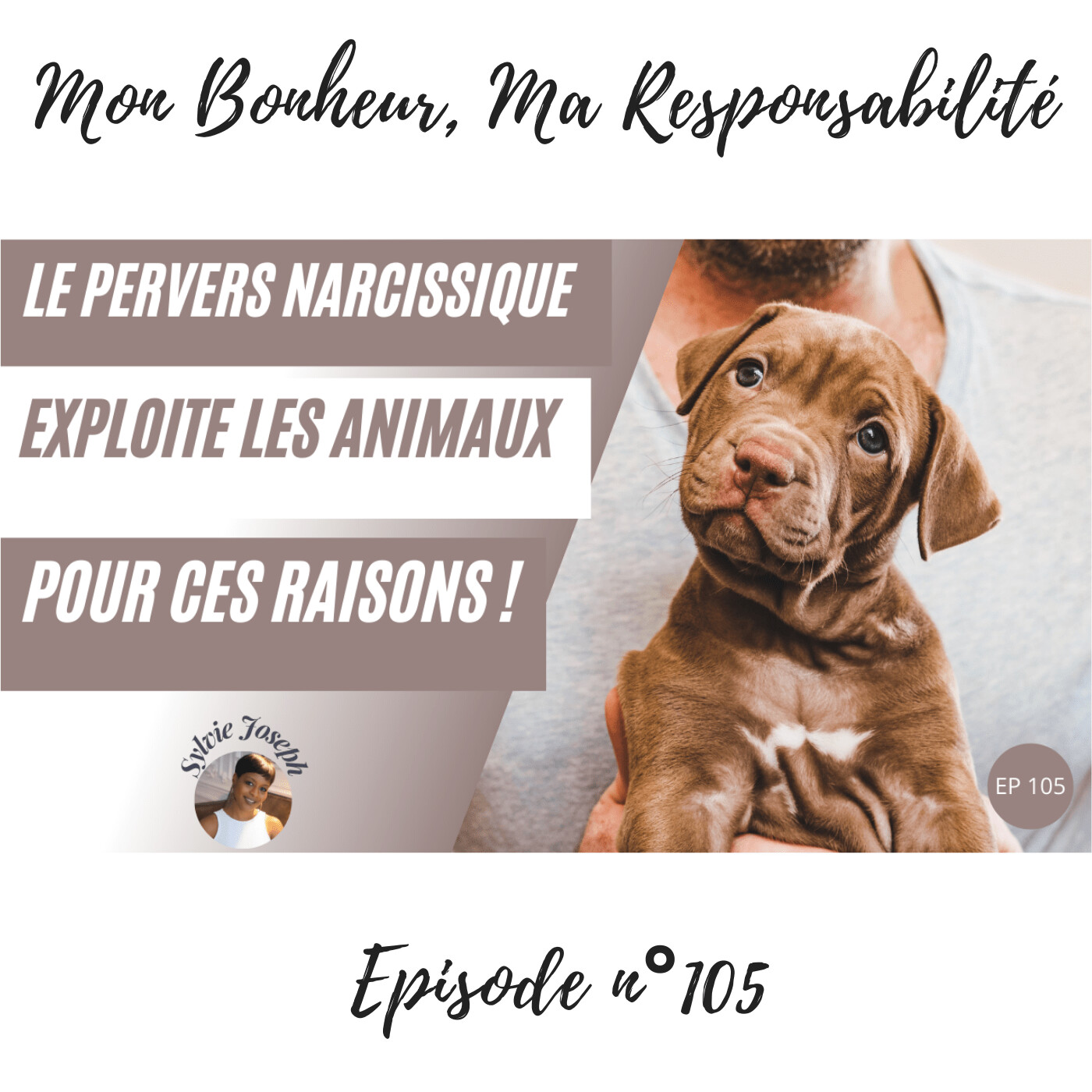 BRILLE : L\'antidote pour se reconstruire en puissance après un pervers narcissique !