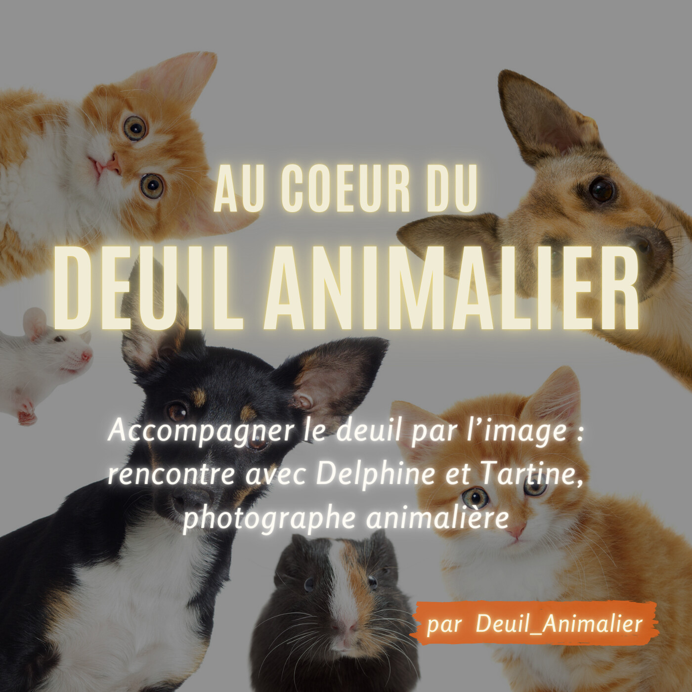 Au cœur du deuil animalier