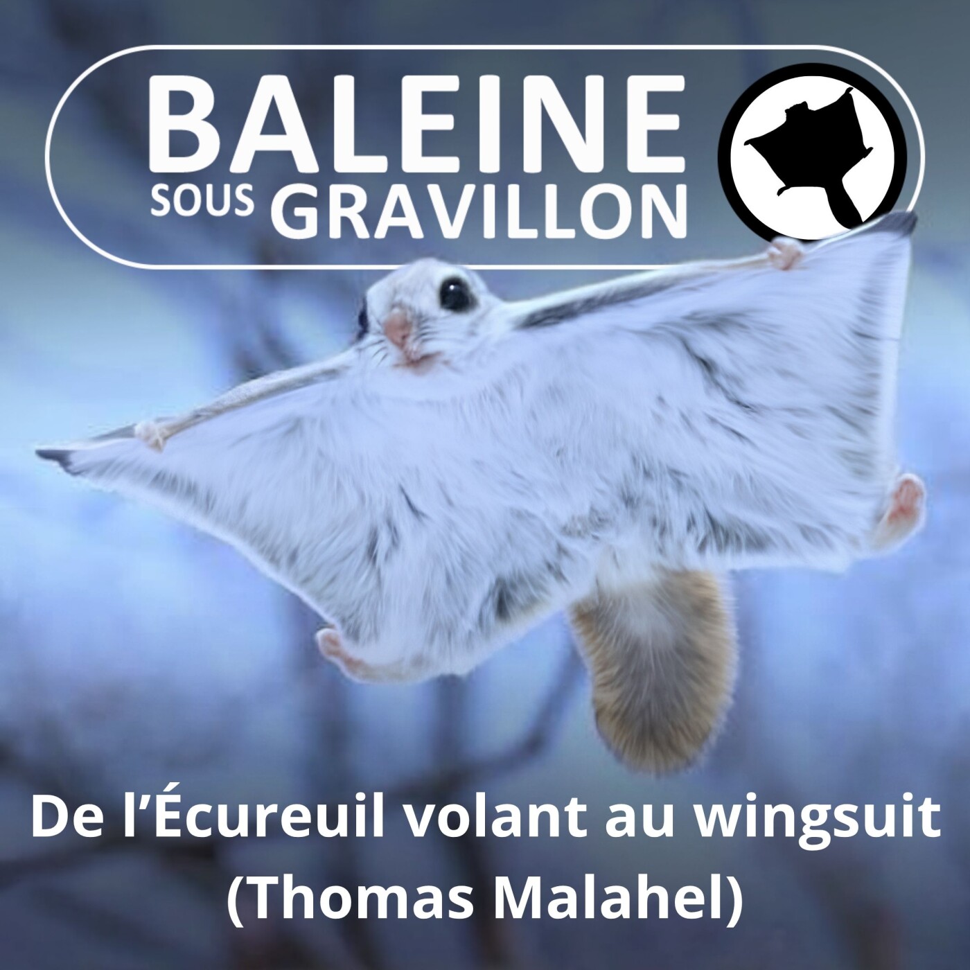S02E29 De l'écureuil volant au wingsuit (Thomas Malahel) episode artwork