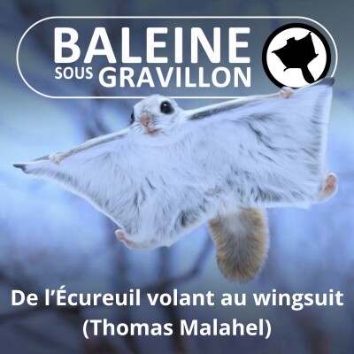 S02E29 De l'écureuil volant au wingsuit (Thomas Malahel) cover