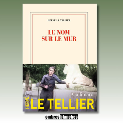 Hervé Le Tellier → Le nom sur le mur cover
