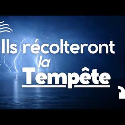Parole et Évangile du jour | Mardi 9 juillet • « Semé le vent, ils récolteront la tempête cover