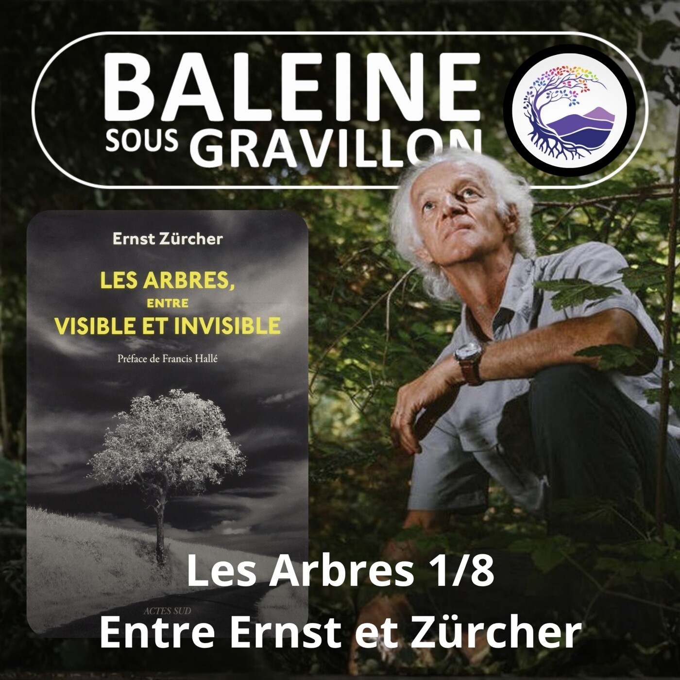 S03E80 Les Arbres 1/8 : Entre visible et invisible, entre Ernst et Zürcher episode artwork