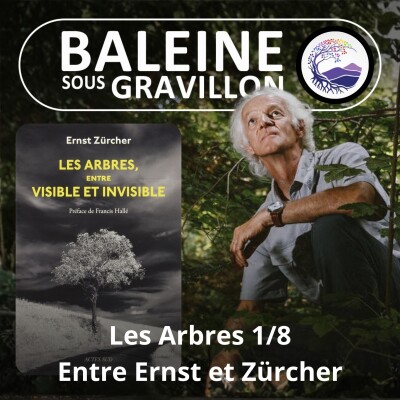 S03E80 Les Arbres 1/8 : Entre visible et invisible, entre Ernst et Zürcher cover