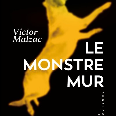 Victor Malzac - Le monstre mur - Lessive cover