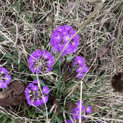 Bonne humeur et courage ! cover