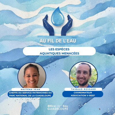 Les espèces aquatiques menacées cover