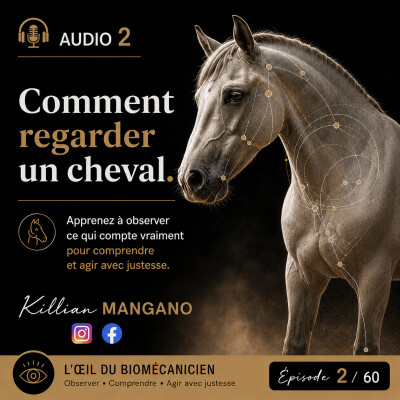 Audio 2 - Comment regarder un cheval : apprendre à observer avant de corriger cover