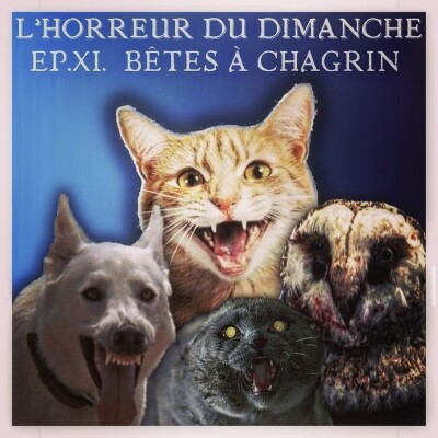 #11 - Bêtes à chagrin cover