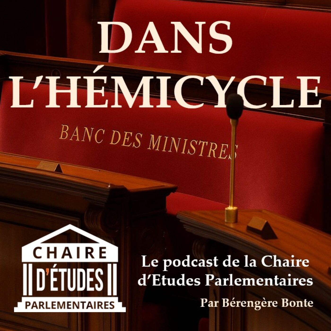 Dans l'Hémicycle