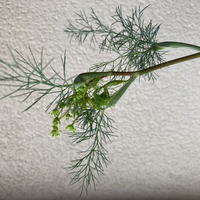 Hors-Série: témoignage 04 cover