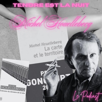 TELN 27 - Michel Houellebecq cover