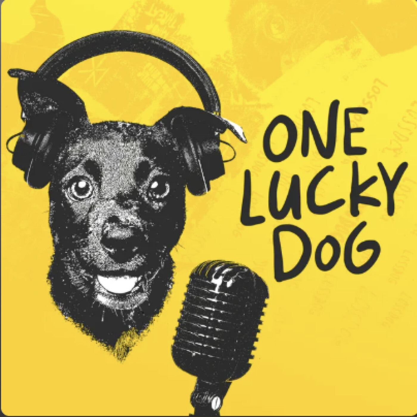 One Lucky Dog