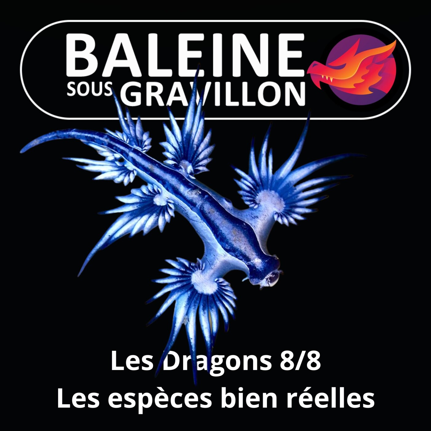 S07E17 Les Dragons 8/8 : Les espèces bien réelles (Léah Thomas-Bion)