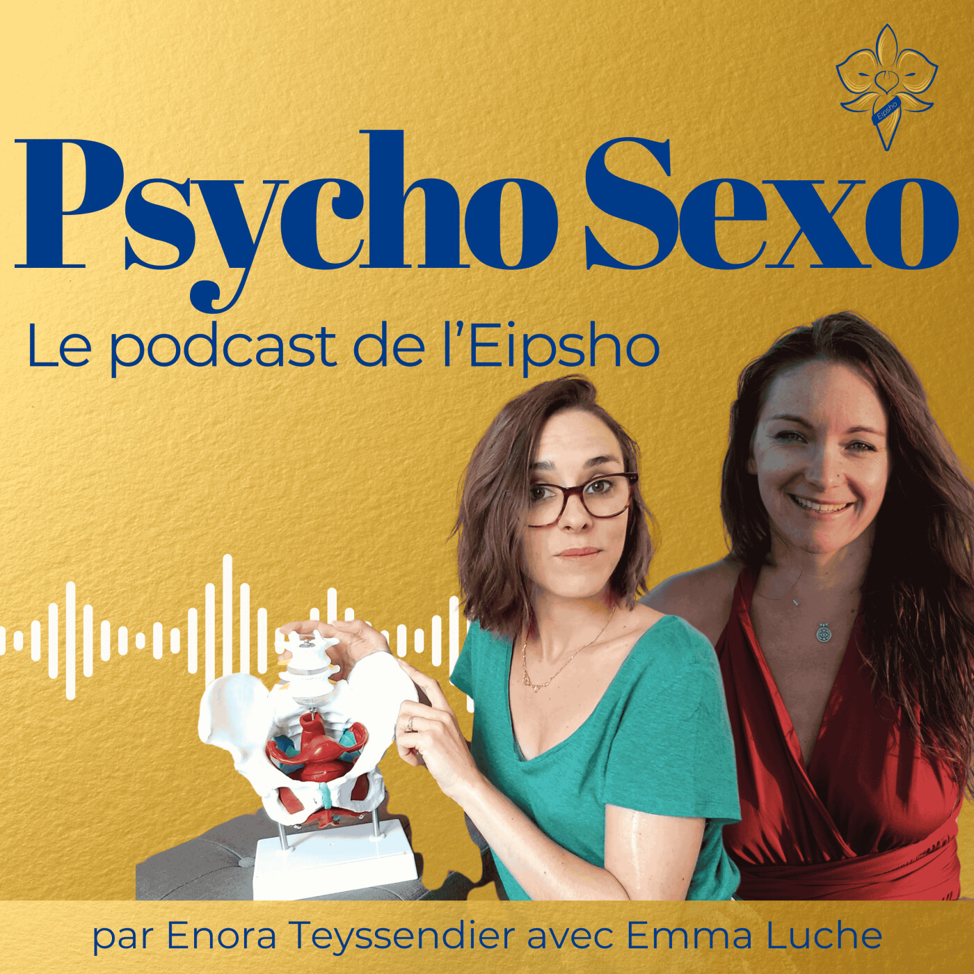Psycho Sexo - clefs et outils pour accompagner la sexualité et lever les tabous