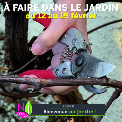 QUE FAIRE DANS LE JARDIN DU 12 AU 19 FÉVRIER ? cover