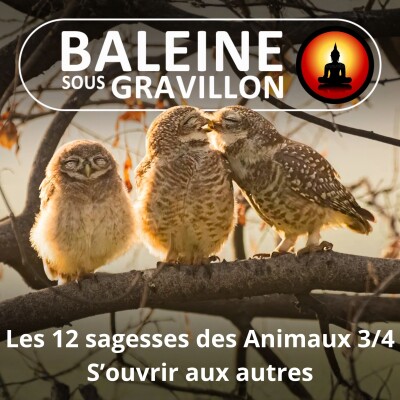 S03E52 Les 12 sagesses des Animaux 3/4 : S'ouvrir aux autres cover