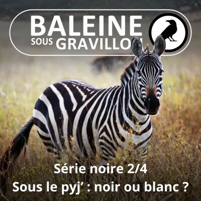S07E105 Série noire 2/4 : La peau des zèbres, noire ou blanche sous le pyj' ? cover