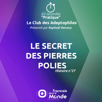 Le secret des Pierres Polies (Le Club des Adaptophiles n°27) cover