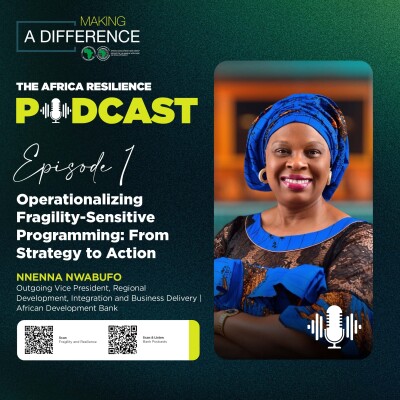 Nnenna Nwabufo: Building Africa's resilience in the face of fragility and conflict cover