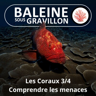 S04E62 Les Coraux 3/4 : Prendre la mesure des menaces et des chiffres cover